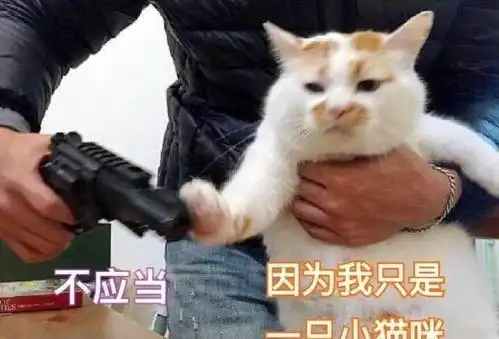 有哪些猫咪活成了表情包求这些猫咪的心理阴影面积
