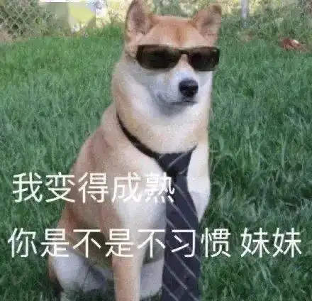 今日份治愈,不愧是世界上最可爱的毛孩子
