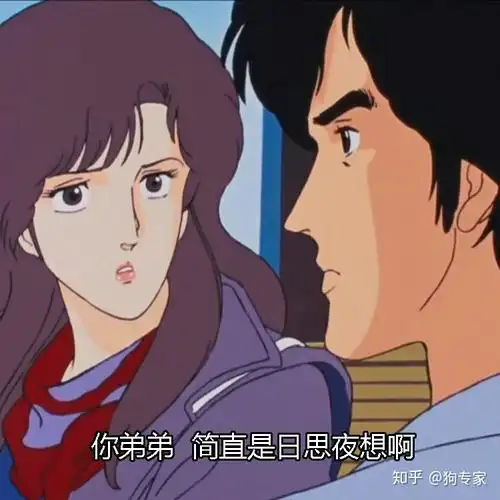 有哪些很污的表情包
