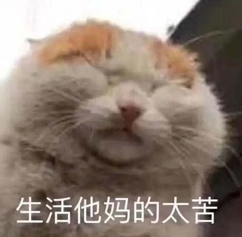示爱表情包拿图片请给我套上,你爱情的枷锁
