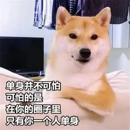七夕这样发,笑喷你的朋友圈
