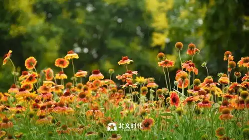 生无所息,斗无所止