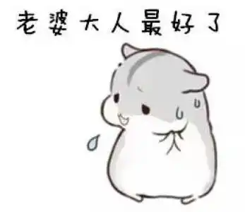 哄老婆表情包老婆大人对不起好喜欢老婆我老婆超级可爱
