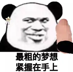 熊猫头表情包i最初的梦想紧握在手上
