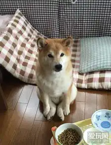 本周囧雷傻缺图763
