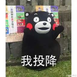 我投降熊本熊表情包by万能小仙女i堆糖,美好生活研究所
