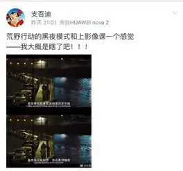 荒野行动黑夜模式成了撩妹利器
