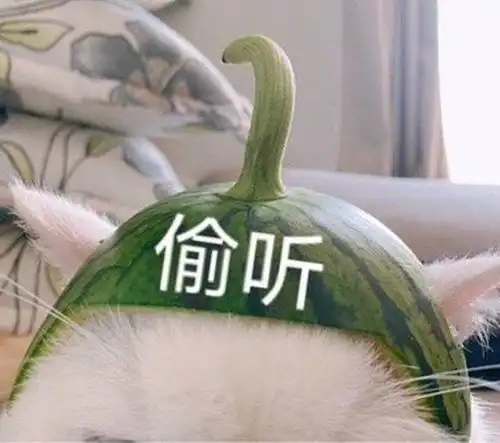 有哪些学生党看完原地痛哭的沙雕文案
