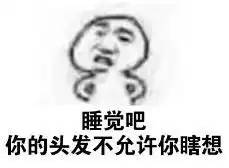 这里的毛毛千万别乱拔小心会有生命危险
