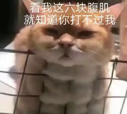 熊猫头交头接耳悄悄话动图表情包动图悄悄话表情
