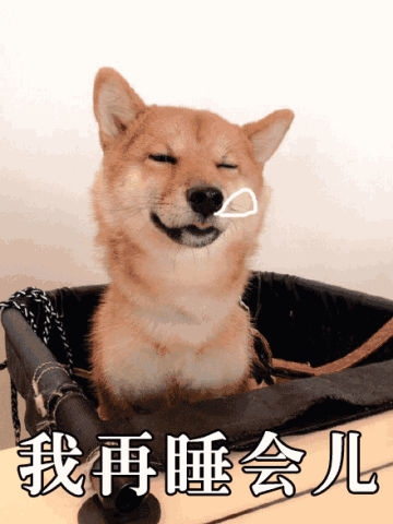 柴犬表情包全套柴犬doge表情包下载