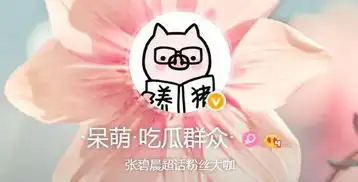 张碧晨制作总裁新年表情包颁奖典礼
