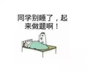 有意思崇明这些好玩的地方,不信你都猜得出
