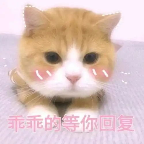 有哪些好用的关于读书和青春题材的作文写作素材
