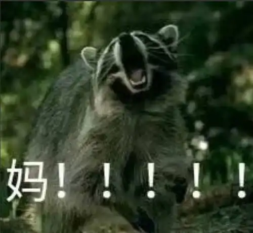 妈妈再爱我一次
