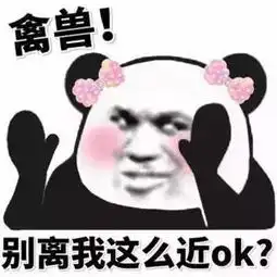 海量表情包仓库持续更新中
