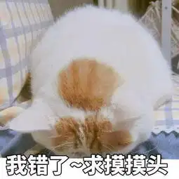认错表情包可爱版宝宝知道错了
