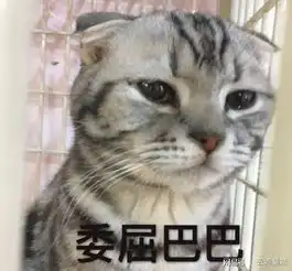 最新最in的猫咪表情包都在这里了,无水印,快来收图
