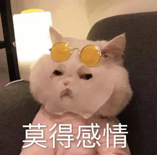 库克看傻了,iphone13被华强北破解,仅需5元
