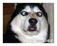 幽默笑话爸爸,你不会是在暗示我不是你们的亲生儿子吧

