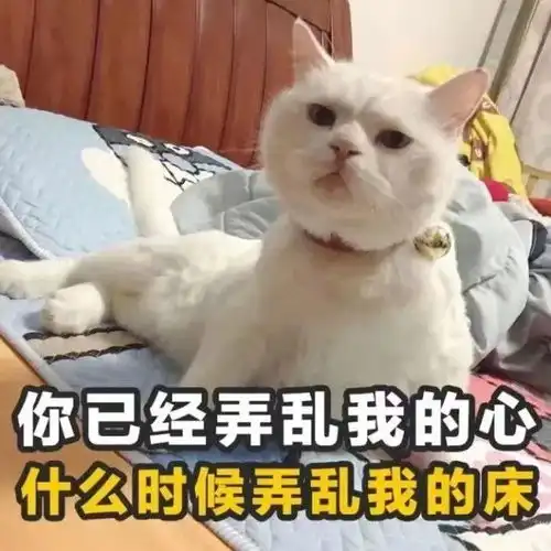 就送你一波土味情话
