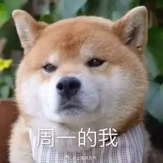 今日天气
