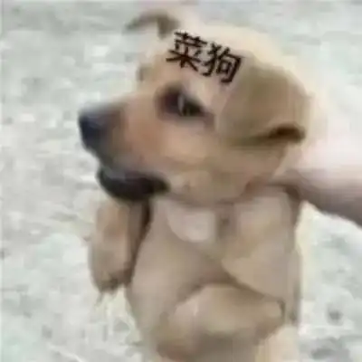 幽默搞笑表情包我好兴奋啊
