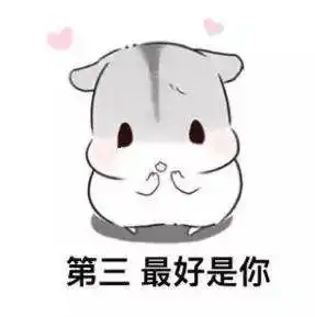 小仓鼠撩妹表情包你知道我择偶的标准吗
