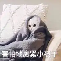 害怕表情包图片微信头像图片大全
