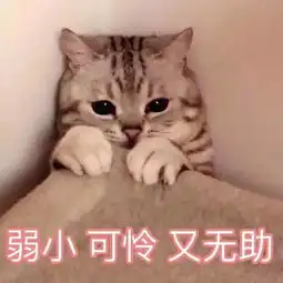 全城召集花样妈妈从小白到精通的完美蜕变只需这一步
