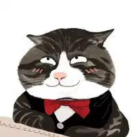 假面猫耳阿肥表情包微信头像图片大全
