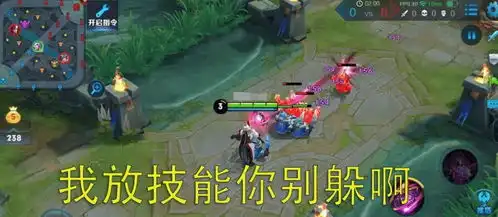 王者荣耀辅助最想对队友说的几句话,你回来我给你回血啊
