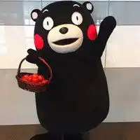 黑色小熊表情包微信头像图片大全
