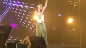 小狗狗的表情很可爱
