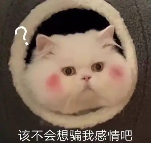 大家有可怜中透着一丝丝搞笑的舔狗语录吗
