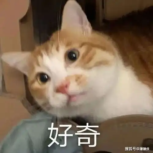 可爱表情包图片好奇,你准备生气的样子
