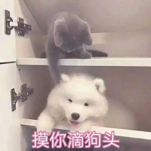 笑话十条你媳妇给你生了个儿子,快回家看看
