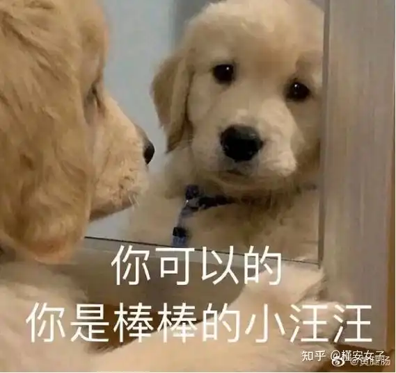 专注森林forest值得购买吗
