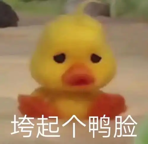 上课给同学发消息不小心点到了qq电话想挂电话结果又点错成了视频
