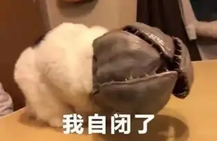 套路表情包爱你呦,骗你的
