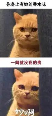 橘猫套路qq表情套路表情包下载
