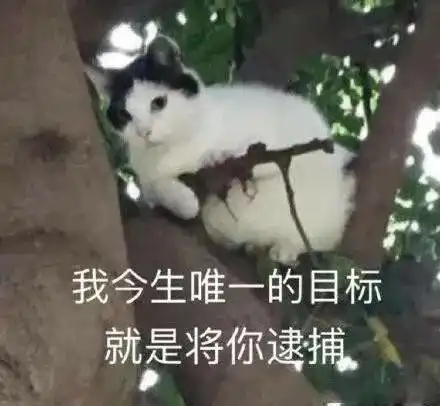 让人看的津津有味的朋友圈沙雕文案
