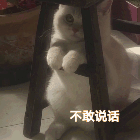 每个人身上都有毛毛,让我为你脱毛毛
