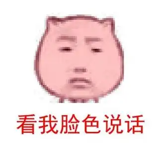 猥琐猫表情包安卓版
