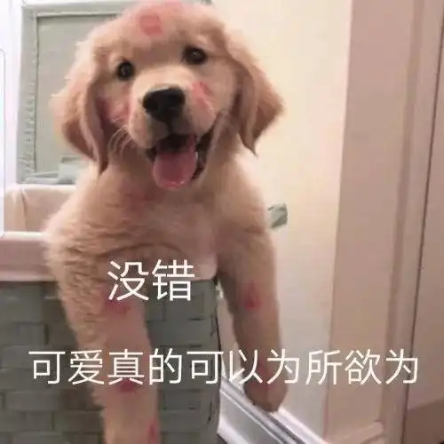 绝育路表情包朋友圈