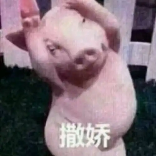 有那些有趣且沙雕的表情包
