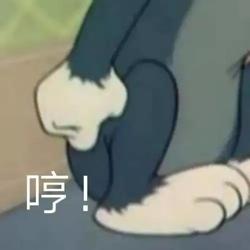 跟你超配的沙雕表情包
