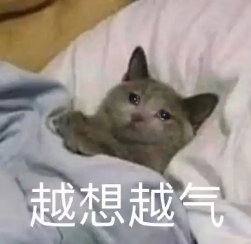 有没有想改变熬夜习惯的小朋友,一起来互相激励

