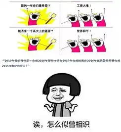 2019新年愿望这些清单在三亚就可实现
