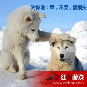 摸摸头不哭表情包下载摸摸头不哭表情包合集
